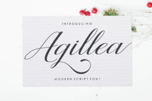 Agillea Font Review: Elegant Script for Modern Design