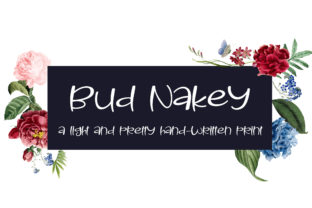 Bud Nakey: The Casual Handwritten Script for Modern Branding