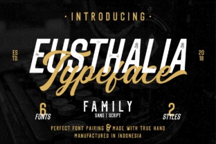 Eusthalia Family: A Vintage Script Handwritten Typeface for Crafters