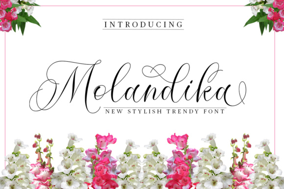 Molandika: The Elegant Script Handwritten Font for Premium Branding