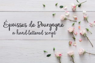 PN Époisses De Bourgogne: A Bouncy Script Handwritten Font for Creative Projects