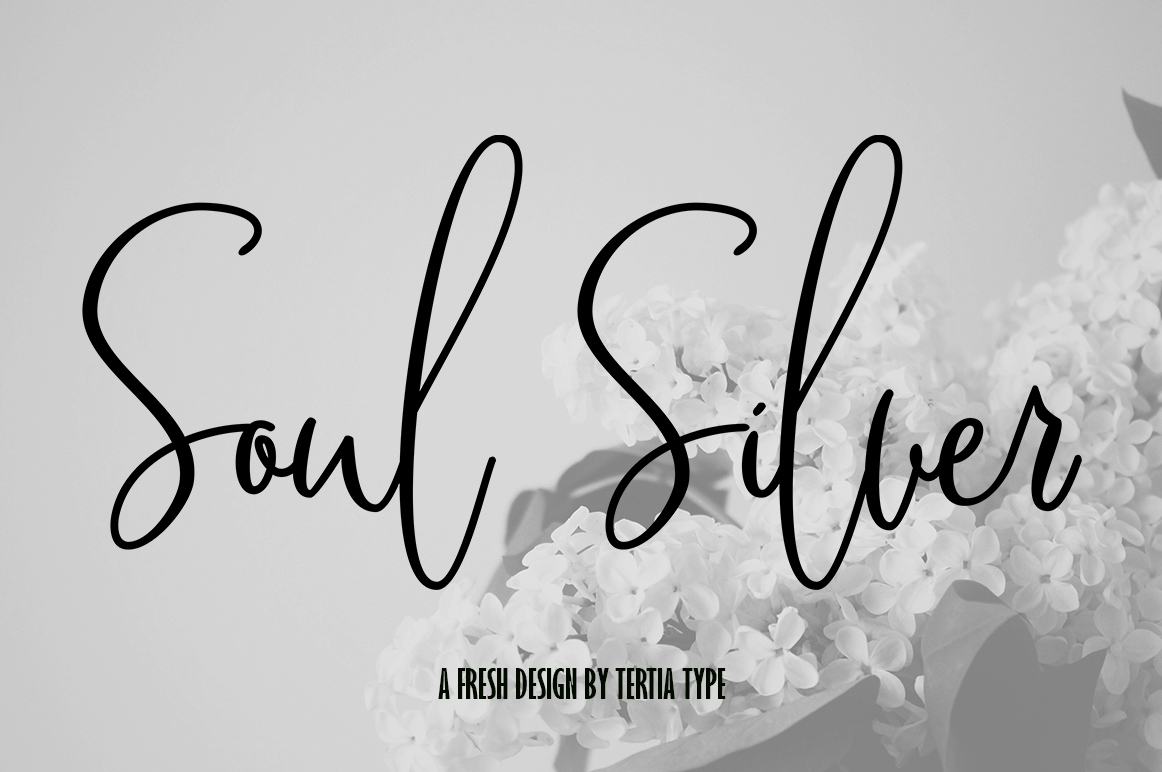 Soul Silver: The Elegant Script Handwritten Font for High-Converting Campaigns