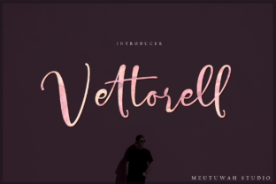 Vettorell Trio: The Modern Script Font for Boutique Branding