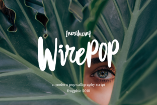 Wirepop: A Modern Script Handwritten Typeface for Editorial Branding